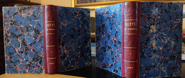 Un viaggio da Boccadifalco a Gaeta. Memorie della rivoluzione dal 1860 al 1861. Volume 1 e 2. Seconda edizione