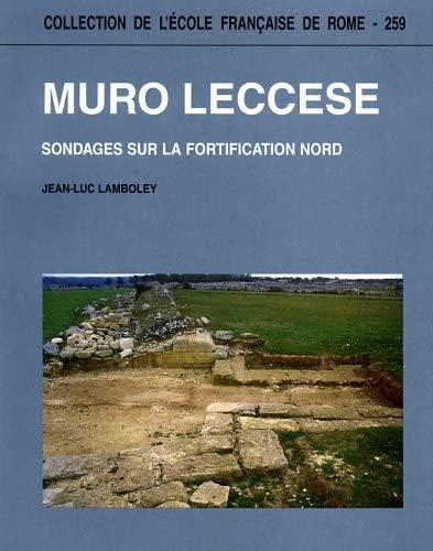 Muro Leccese : sondages sur la fortification Nord : fouilles de l'École française de Rome à Muro Leccese