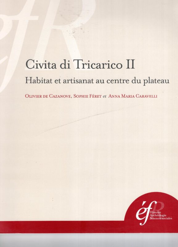 Civita di Tricarico 2.: Habitat et artisanat au centre du plateau
