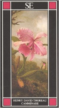 Camminare. A cura di Franco Meli. Traduzione di Maria Antonietta Prin