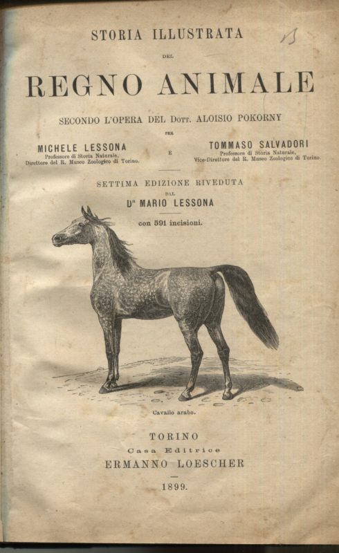 Storia illustrata dei tre regni della natura secondo l'opera del dott. Aloisio Pokorny. Vol. 1: Storia illustrata del regno animale secondo l'opera del dott. Aloisio Pokorny. Settima edizione riveduta