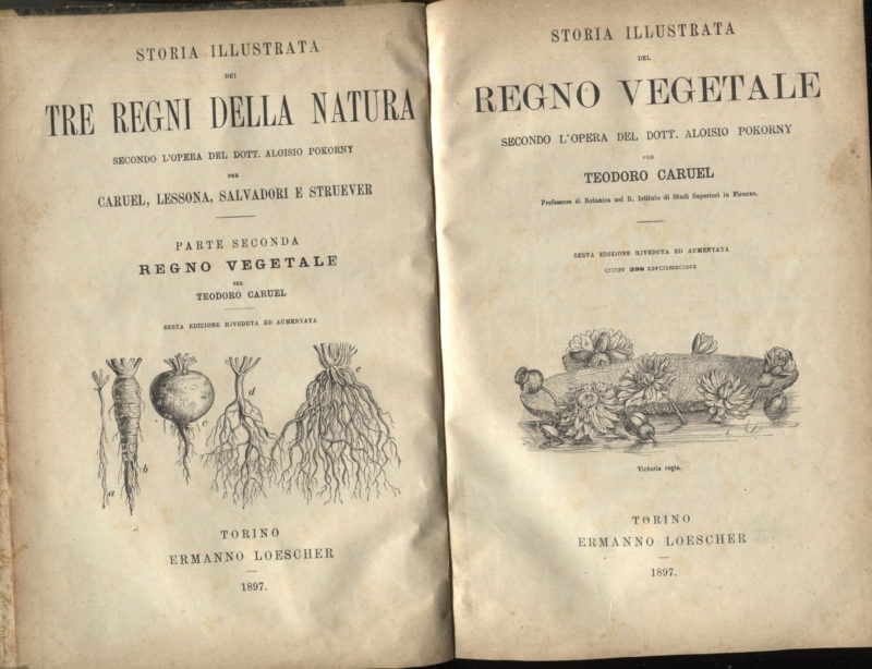 Storia illustrata dei tre regni della natura secondo l'opera del dott. Aloisio Pokorny. Vol. 2: Storia illustrata del regno vegetale secondo l'opera del dott. Aloisio Pokorny. Sesta edizione riveduta e aumentata