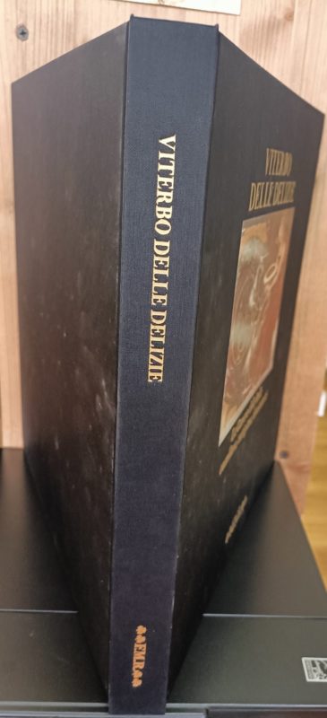 Viterbo delle delizie, la Camera delle Belle castellane, cortigiane, dominatrici. Fotografie di Araldo De Luca.  English translation by Antony Shugaar