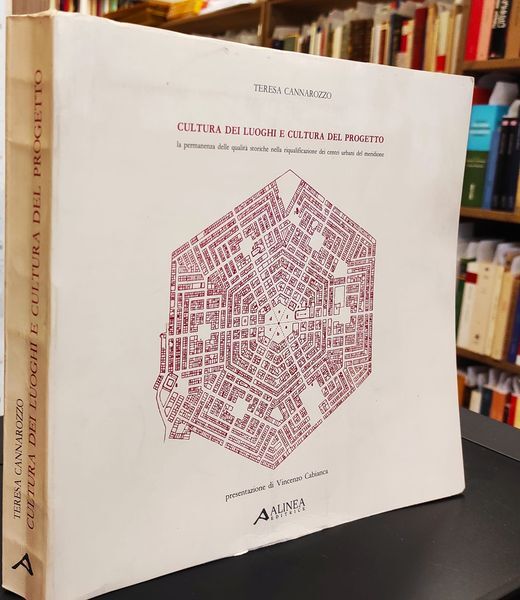 Cultura dei luoghi e cultura del progetto : la permanenza delle qualita storiche nella riqualificazione dei centri urbani del meridione