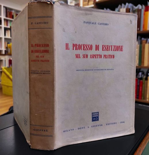 Il processo di esecuzione nel suo aspetto pratico. 2. edizione interamente rifatta