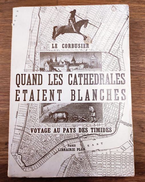 Quand les cathÃ©drales Ã©taient blanches : voyage au pays des timides