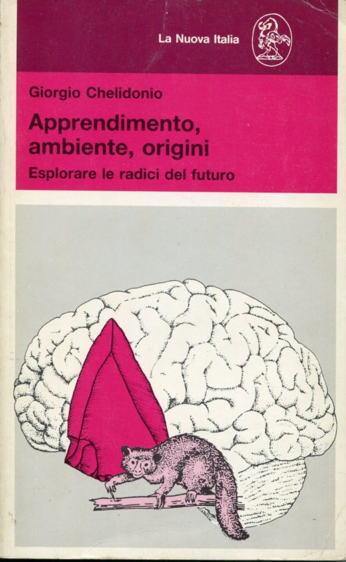 Apprendimento, ambiente, origini : esplorare le radici del futuro