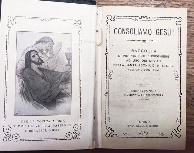 Consoliamo Ges??! : Raccolta di pie pratiche e preghiere ad uso dei Devoti della s. Agonia di n. S. G. C. Nell'orto degli olivi