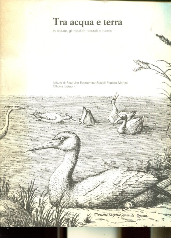 Tra acqua e terra La palude, gli equilibri naturali e l'uomo