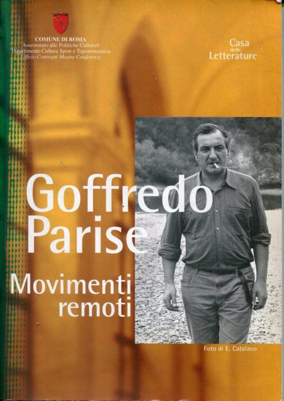 Goffredo Parise: Movimenti remoti. Catalogo della Mostra tenuta a Roma nel 2004
