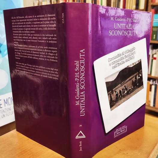 Un' Italia sconosciuta : comunit?? di villaggio e comunit?? familiari nell'Italia dell'800