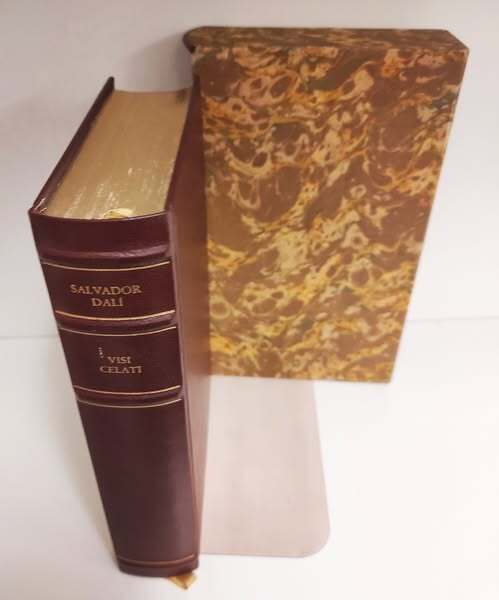 Visi celati : romanzo