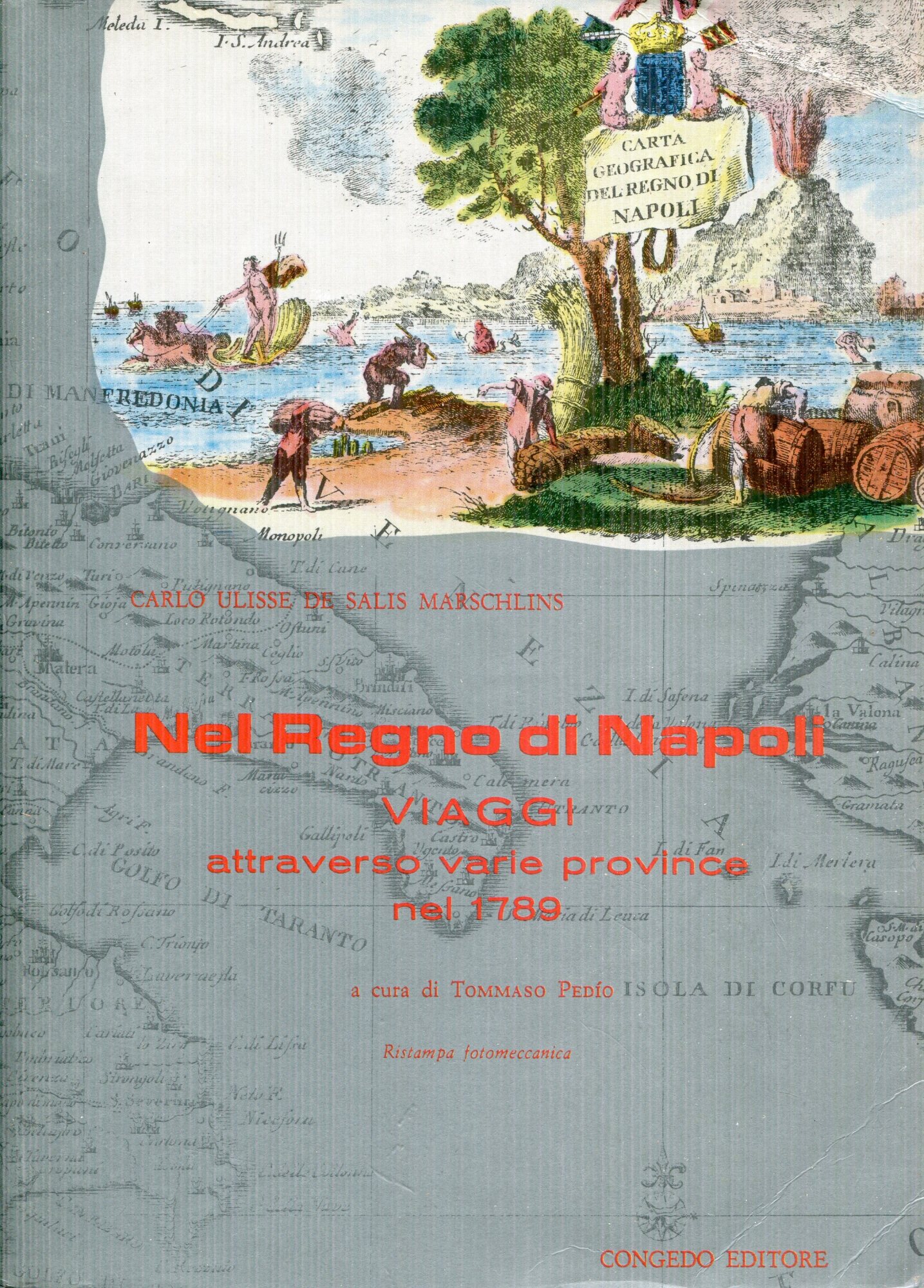 Nel Regno di Napoli : viaggi attraverso varie province nel 1789, a cura di Tommaso Ped??o