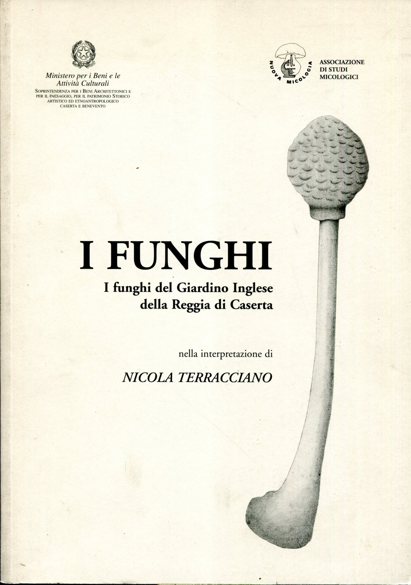 I Funghi. I funghi del Giardino Inglese della Reggia di Caserta nella interpretazione di Nicola Terracciano