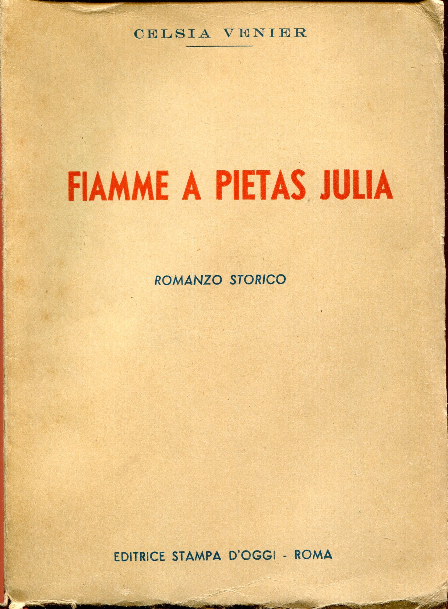 Fiamme a pietas Julia : Romanzo storico