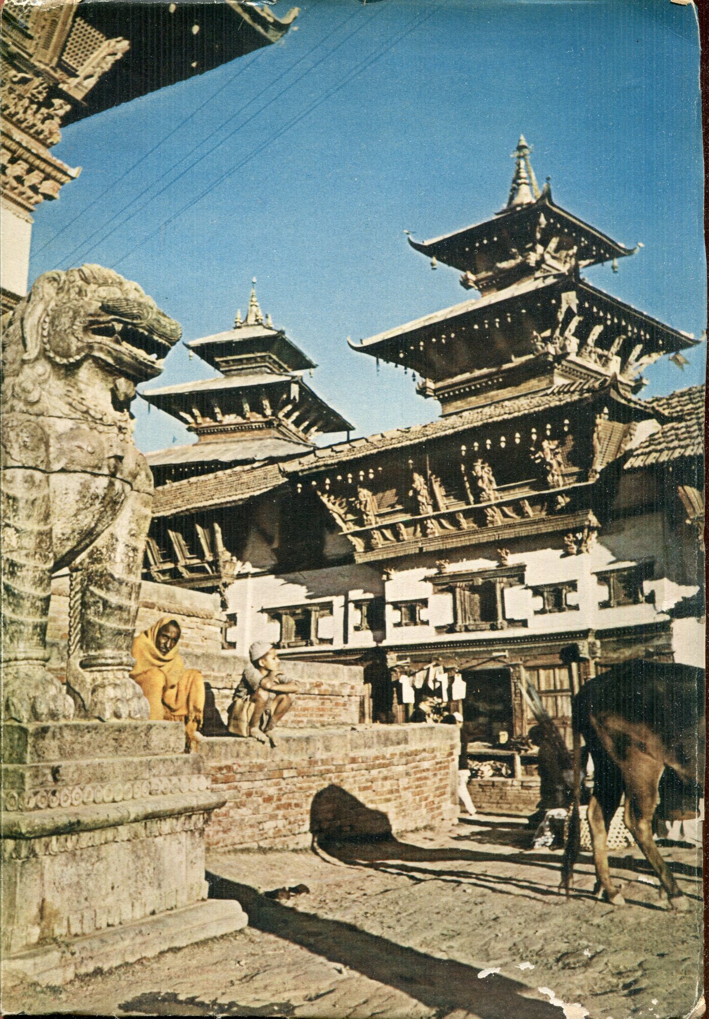 Tra giungle e pagode