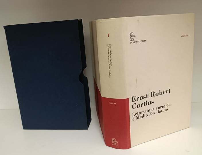 Letteratura europea e Medio Evo latino