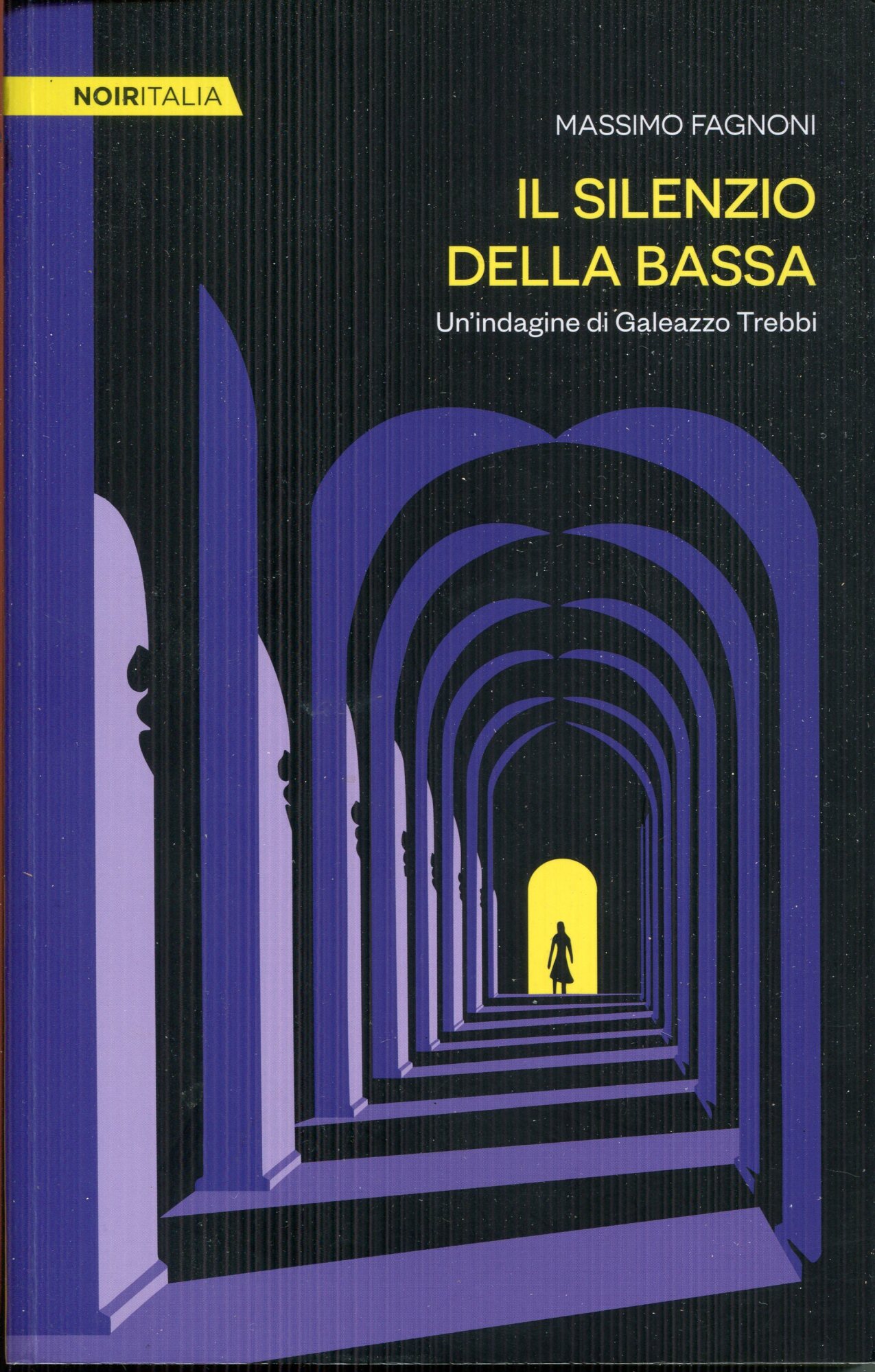 Il silenzio della Bassa.Un'indagine di Galeazzo Trebbi. Noir