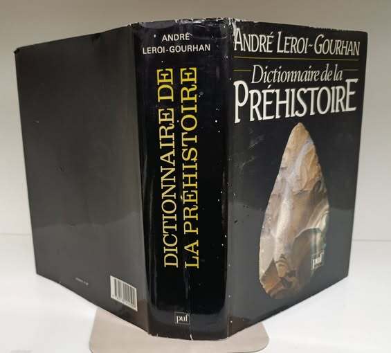Dictionnaire de la pr??histoire