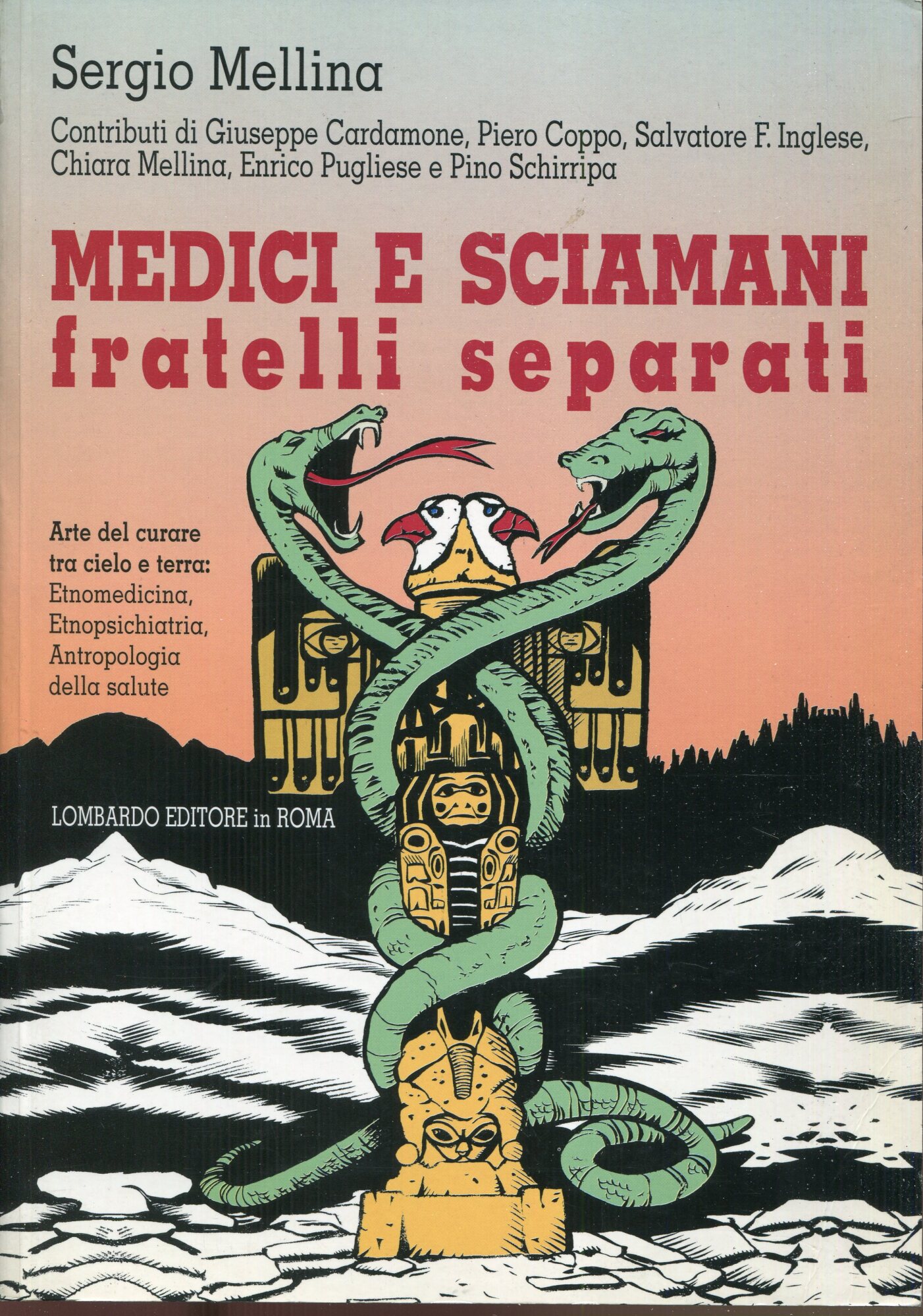 Medici e sciamani, fratelli separati : arte del curare tra cielo e terra: etnomedicina, etnopsichiatria, antropologia della salute