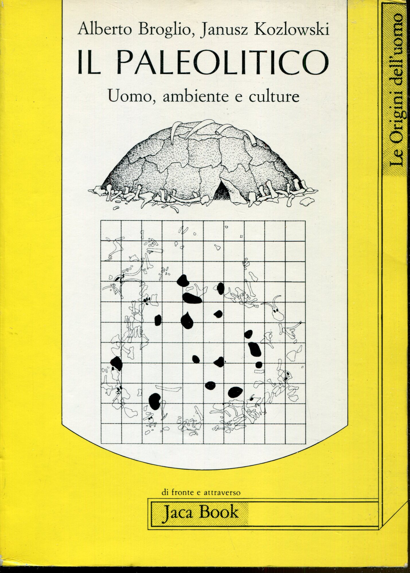 Il Paleolitico : uomo, ambiente e culture