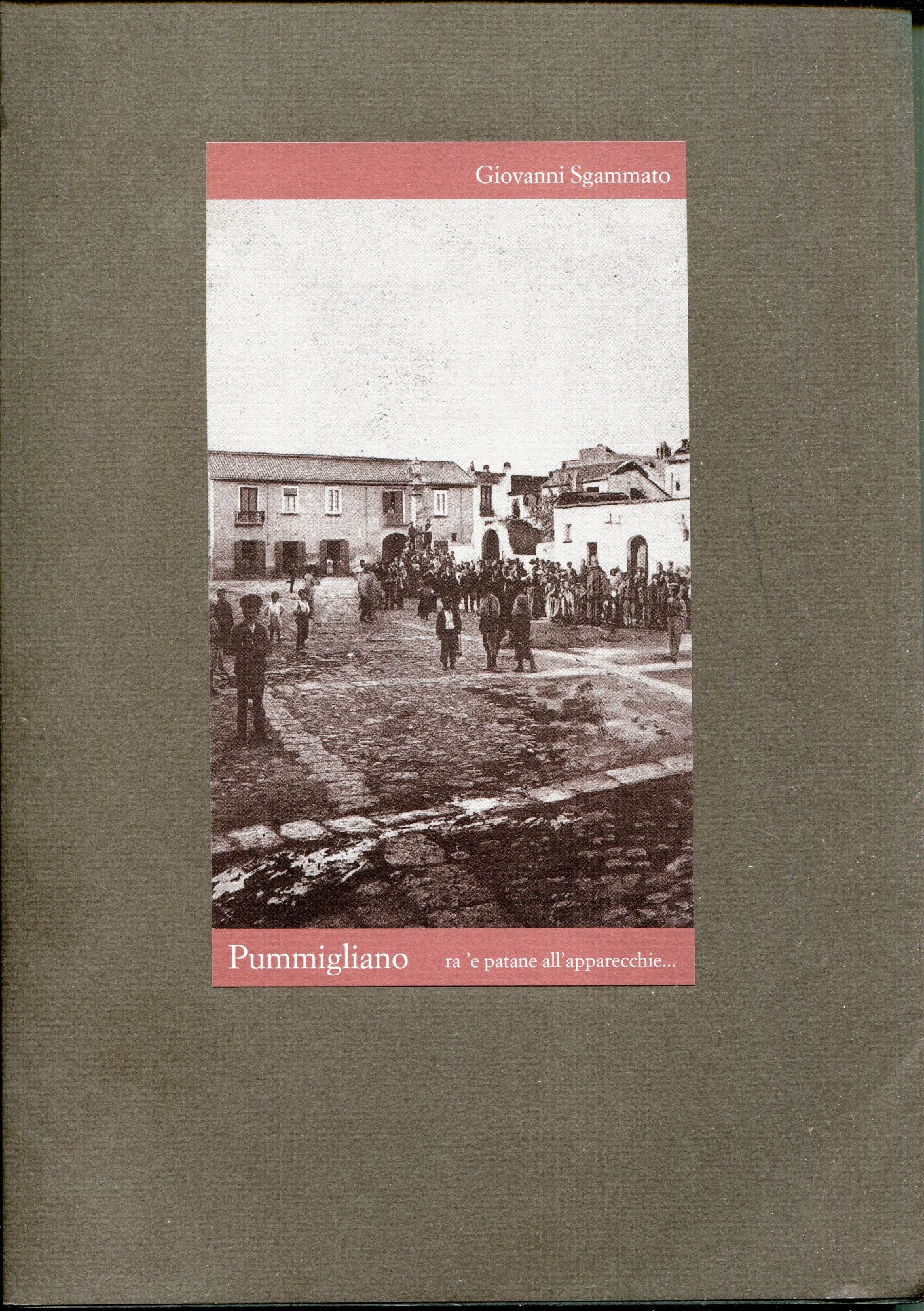 Pummigliano : ra' e patane all'apparecchie.. Prefazione di Stefano De Matteis