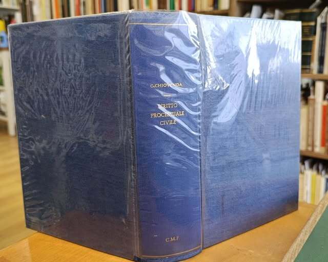 Principii di diritto processuale civile : le azioni, il processo di cognizione