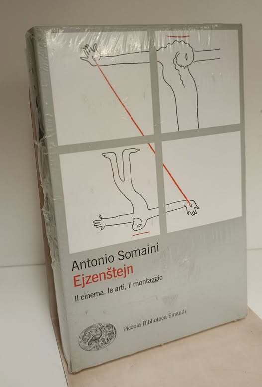 Ejzenstejn. Il cinema, le arti, il montaggio