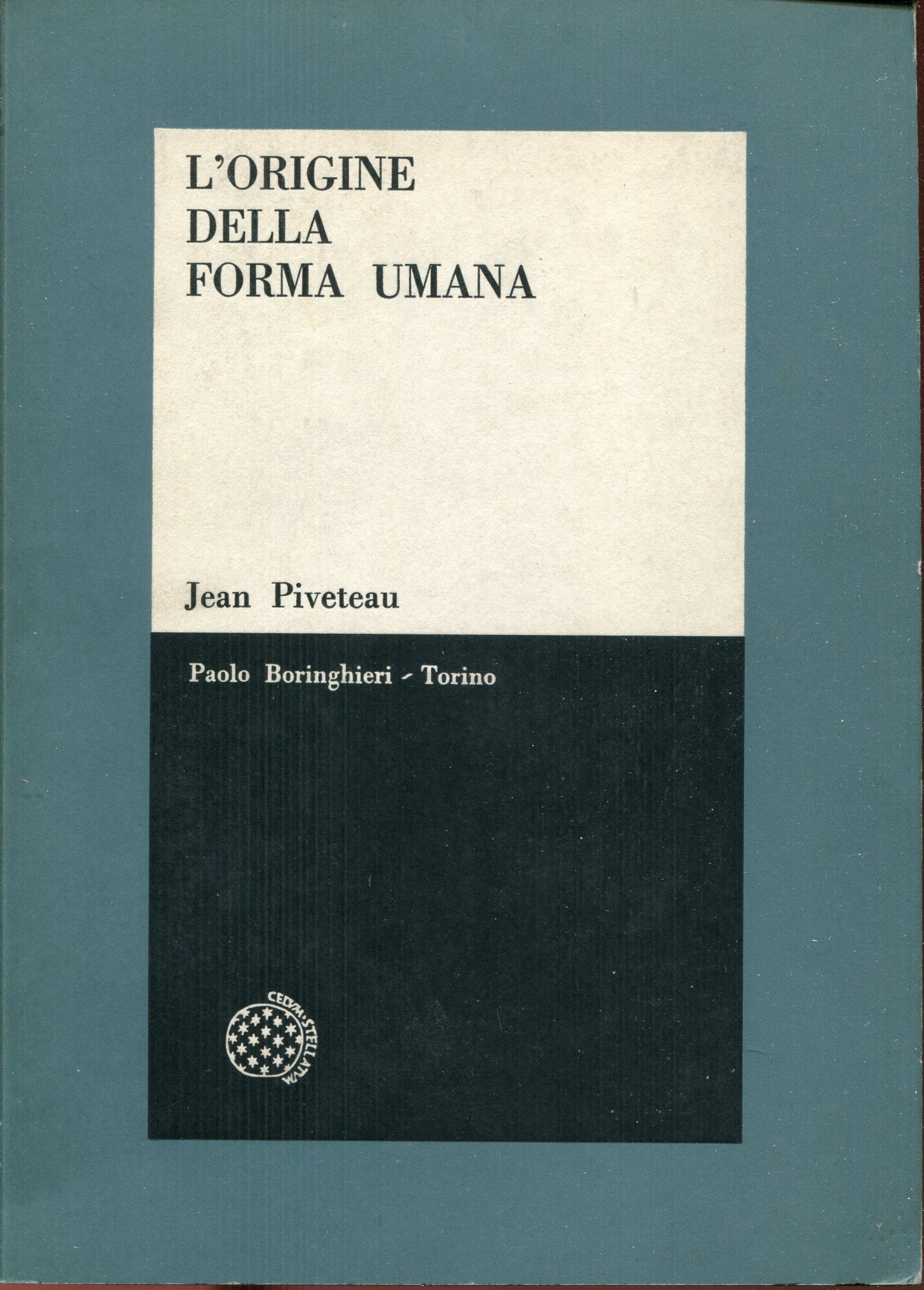 L'origine della forma umana