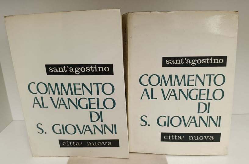 Commento al Vangelo di S. Giovanni (2 Volumi)