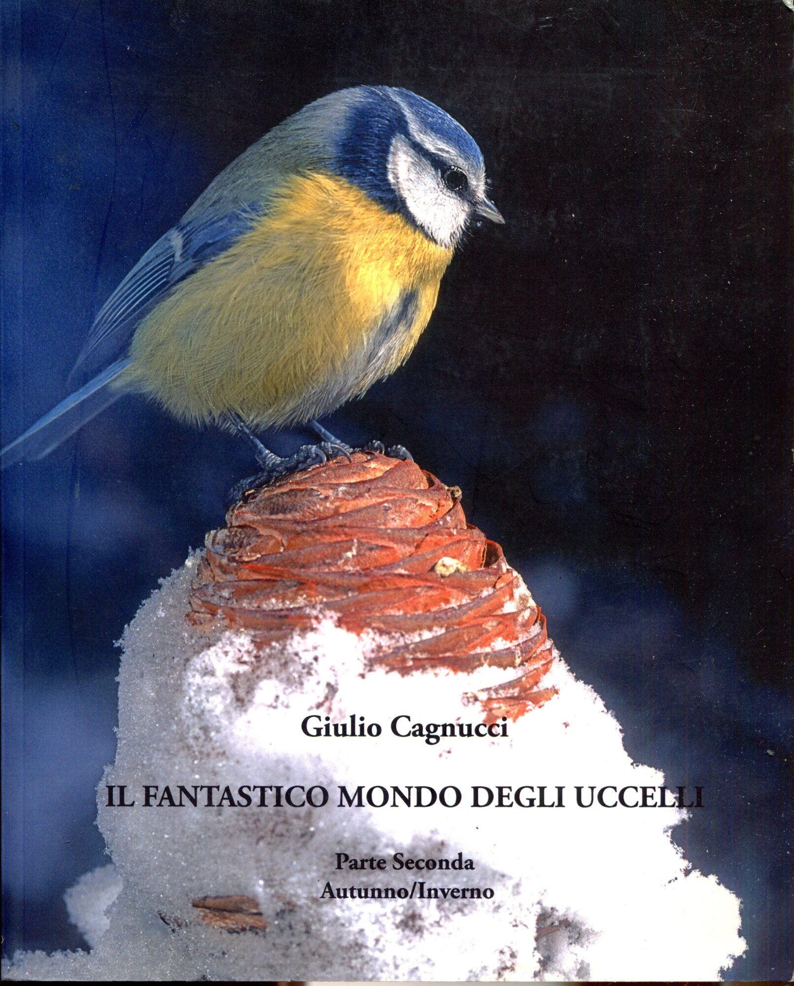 Il fantastico mondo degli uccelli. Come cambia la loro vita al mutare delle stagioni. Parte prima /primavera-estate. Parte seconda/autunno-inverno