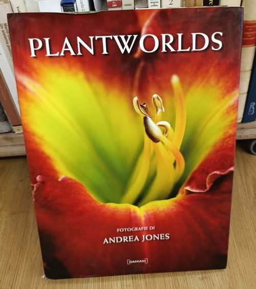 Plantwords. Fotografie di Andrea Jones