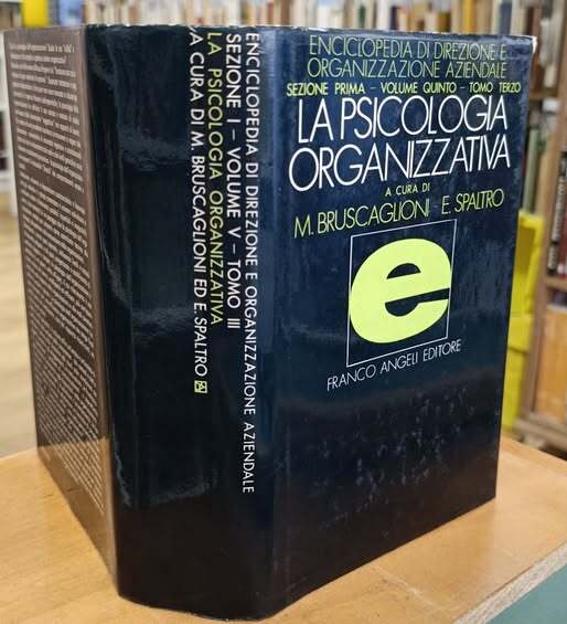 Sociologia e psicologia delle organizzazioni. Tomo 3, La psicologia organizzativa