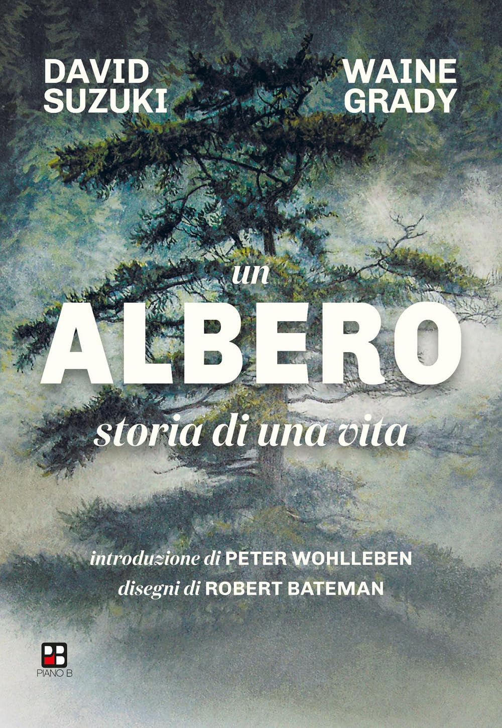 Un albero. Storia di una vita. Ediz. illustrata