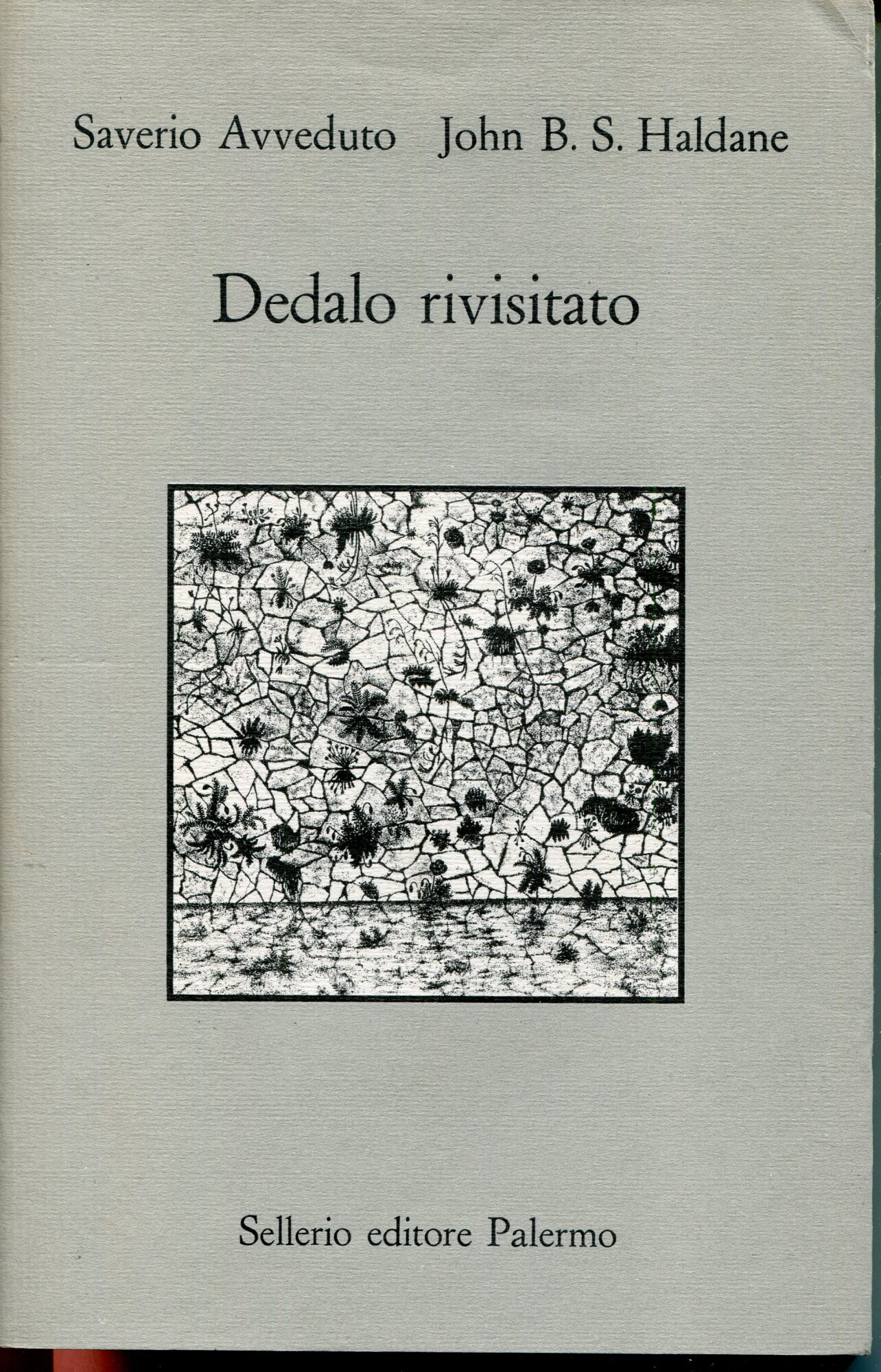 Dedalo rivisitato
