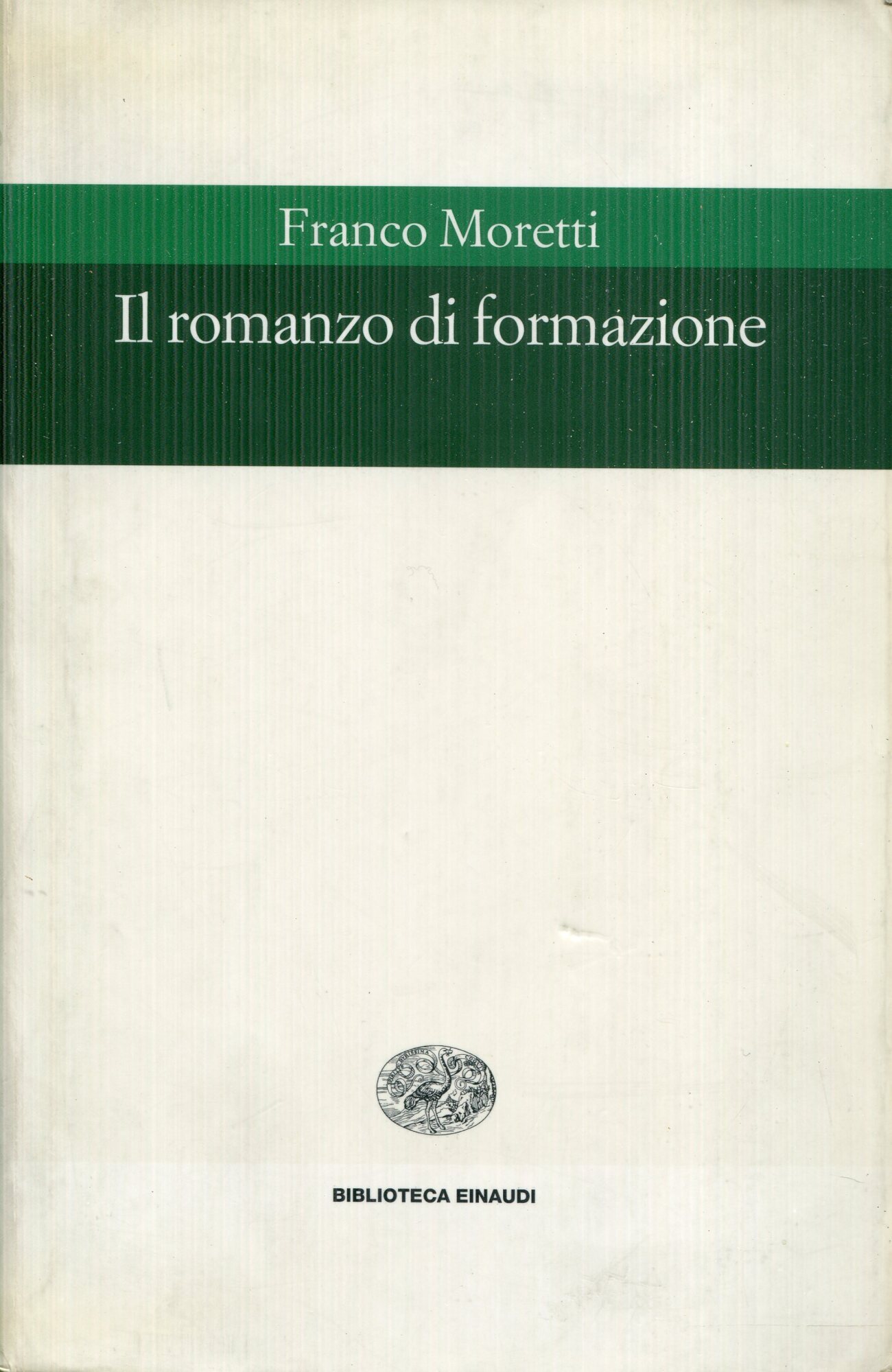 Il romanzo di formazione