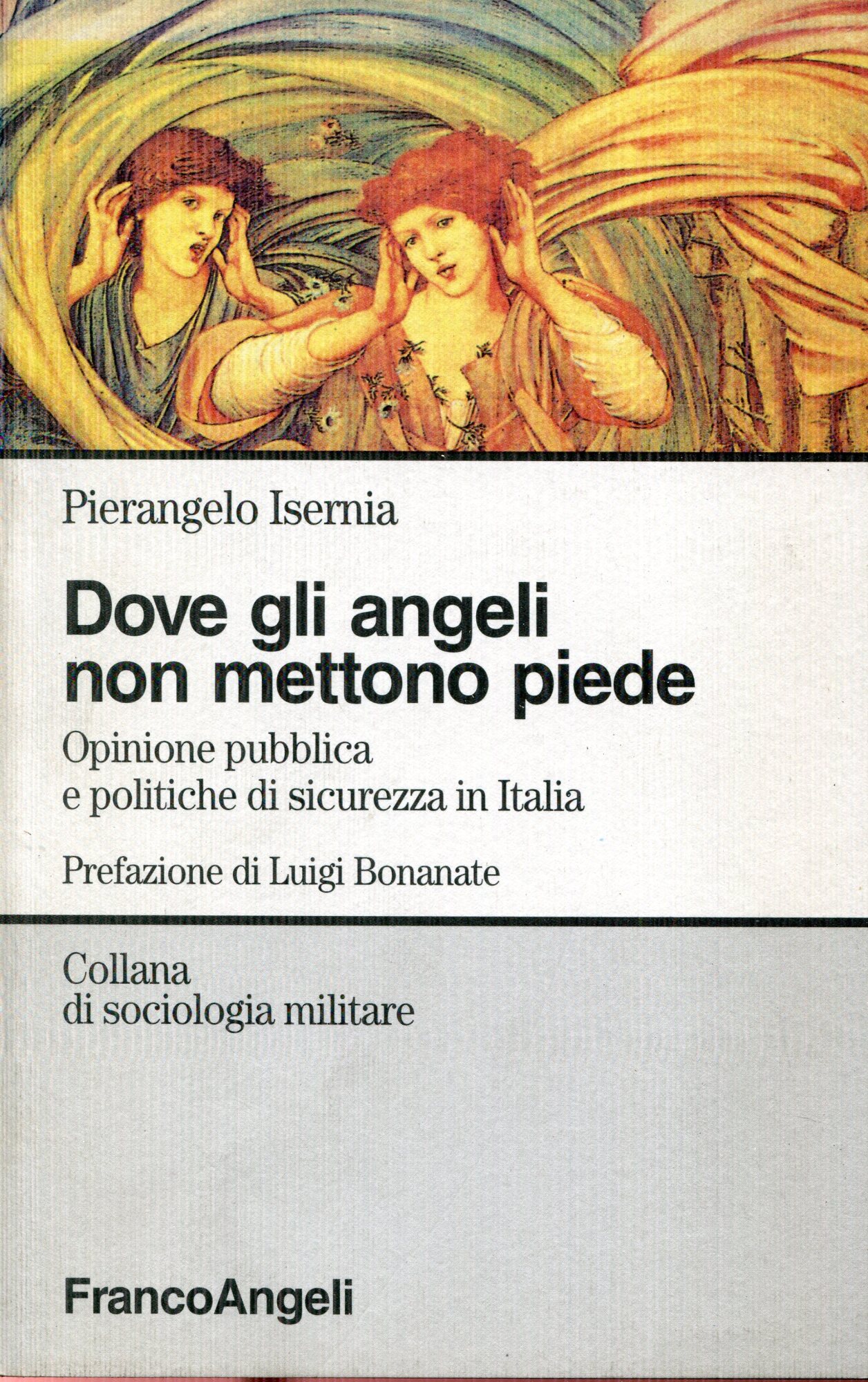 Dove gli angeli non mettono piede. Opinione pubblica e politiche di sicurezza in Italia